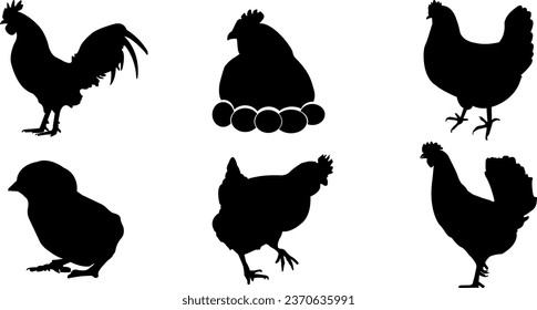 Conjunto de vectores de gallina aislado