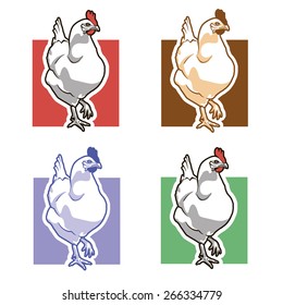 Chicken. Hen. Vector. Square. Color options.