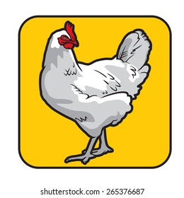 Chicken. Hen. Vector. Yellow background.
Series of livestock vector images.