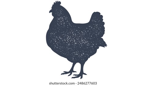 Pollo, gallina. Estampado retro de Antiguas, pollo, boceto de gallina lápiz estilo dibujo, grabado de la vieja escuela. Dibujo de arte negro silueta pollo con textura. Ilustración vectorial