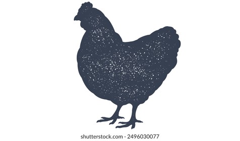 Pollo, gallina. Antiguas impresión retro, pollo, dibujo de estilo de lápiz de tinta de boceto de gallina, grabar la vieja escuela. Obra de arte de boceto negro silueta de pollo con textura. Ilustración vectorial