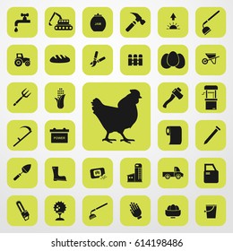 chicken icon. agriculture set. vector sign symbol on white background