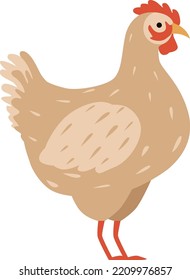 Chicken icon. Cartoon poultry. Farm bird animal