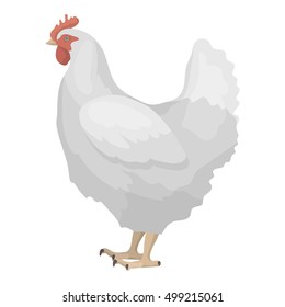 Chicken icon in cartoon style isolated on white background. Bird symbol stock vector illustration.