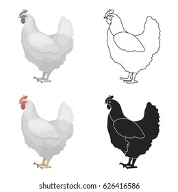 Chicken icon in cartoon style isolated on white background. Bird symbol stock vector illustration.