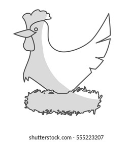 chicken icon. farm animal design. vector illustration