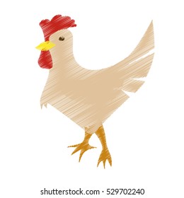 chicken icon. farm animals concept. colorful design. vector illustration