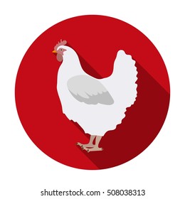 Chicken icon in flat style isolated on white background. Bird symbol stock vector illustration.