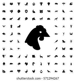 chicken icon illustration isolated vector sign symbol