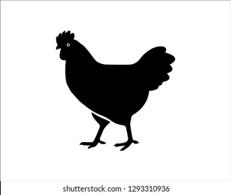 Chicken icon illustration. Simple chicken icon illustration design. Vector illustration