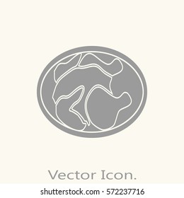 Chicken icon isolated sign symbol and flat style for app, web and digital design. Vector illustration.