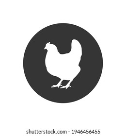 Chicken icon, silhouette, logo on white background. Vector