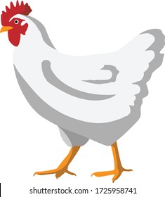 Chicken icon ,simple ,illustration. Chicken meat and eggs vintage produce elements. Badges and design elements for the chicken manufacturing. Vector illustration