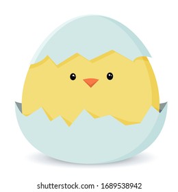 Chicken icon. A sweet yellow Easter chick is sitting waiting for Easter. Vector illustration in simple flat style. Colorful isolated logo, badge, illustration. Ideal for decoration and design.