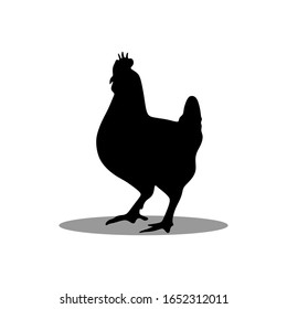 chicken icon, vector chicken silhouette, isolated chicken silhouette