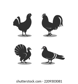 chicken icon, vector chicken silhouette, isolated chicken silhouette, poultry farm, poultry processing, poultry farming, poultry meat, pigeon, pigeon vector illustration.