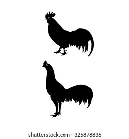  Chicken icons