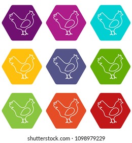 Chicken icons 9 set coloful isolated on white for web