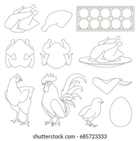 Chicken icons set