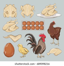 Chicken icons set