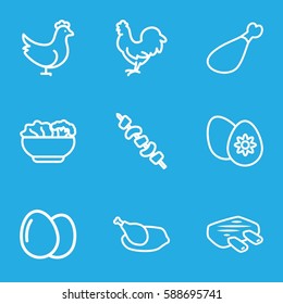 chicken icons set. Set of 9 chicken outline icons such as chicken, egg, kebab, meat leg, easter egg, food