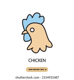 chicken icons  symbol vector elements for infographic web