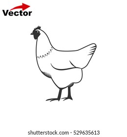 chicken icont