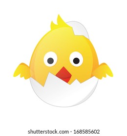Chicken illustration