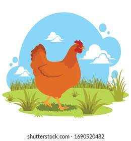 chicken illustration with nice nature background