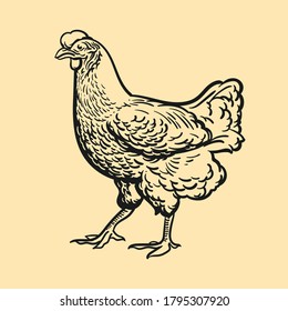 Chicken illustration, retro, vintage, linocut design for restaurants, bbq