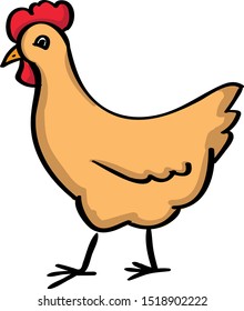 Chicken, illustration, vector on white background.