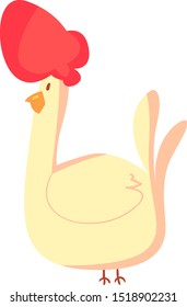 Pollo, ilustración, vector sobre fondo blanco.