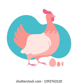 Chicken isolated blue background flat vector illustration farm animals