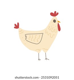 Frango isolado em fundo branco. Caráter galinha de aves. Ilustração plana desenhada à mão vetorial