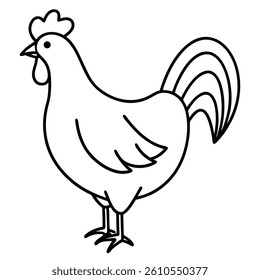 chicken isolated on white background