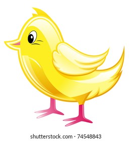 Chicken isolated on a white background.