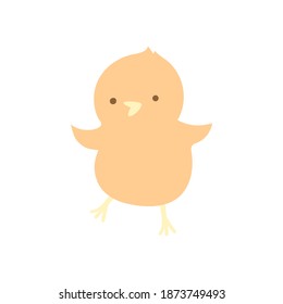  chicken kid on the white background
