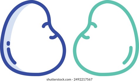 Chicken kidney outline color vector illustration