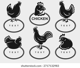 Rótulos de frango e conjunto de ícones. Coleção ícones frango. Vetor 