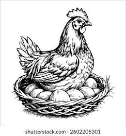 A chicken is laying eggs in a basket
