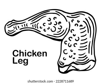 Chicken leg. Juicy meat with cuts. Sketch. Vector illustration. Coloring book for children. Chicken leg ready for frying. Outline on isolated background. Doodle style. Idea for web design.