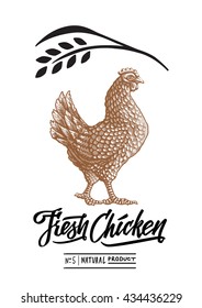 Chicken and lettering label style. Drawing illustration isolated on white background.