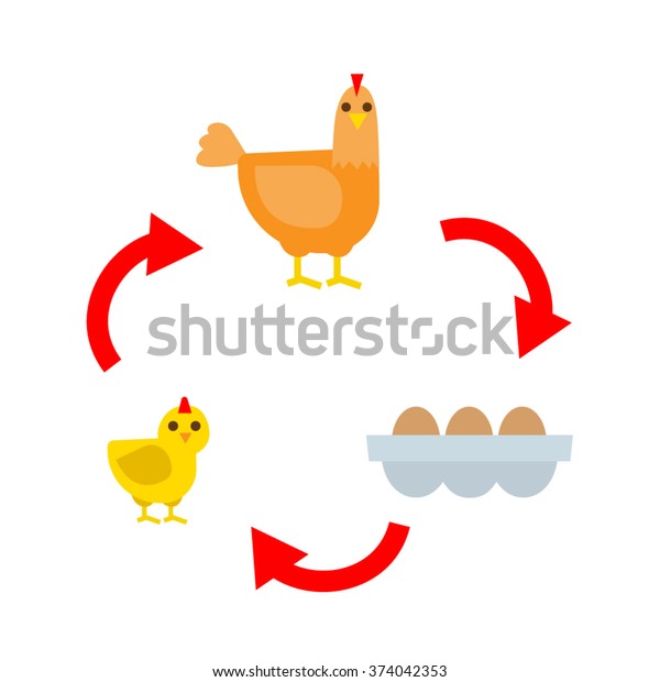 Chicken Life Cycle Chicken Hen Eggs Stock Vector Royalty Free 374042353