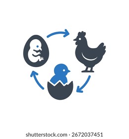 Icono de ciclo de vida de pollo aislado sobre fondo blanco 
