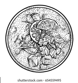 Chicken lime soup illustration, drawing, engraving, ink, line art, vector