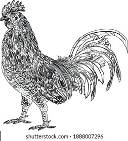 Chicken Line Art Design Hand Drawing Sketch Vector illustration For Adult And Kids Coloring Book