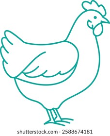 Chicken Line Art Illustration Vector