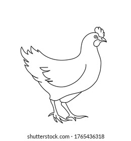 Chicken line drawing. Minimalistic style for logo, icons, emblems, template, badges. Isolated on white background.