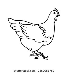 chicken line vector illustration,isolated on white background,top view