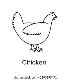 Chicken is a linear vector bird icon.